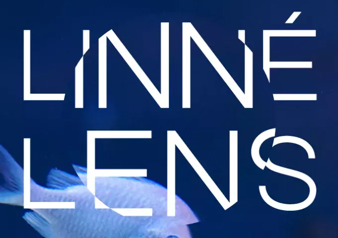 Linné Lens 