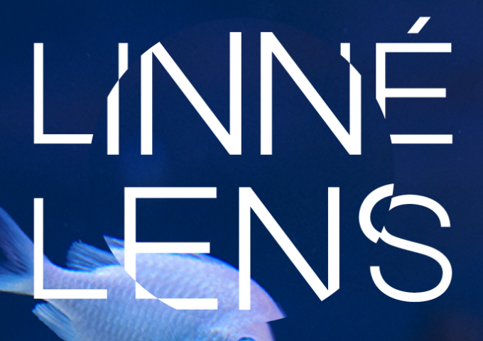Linné Lens